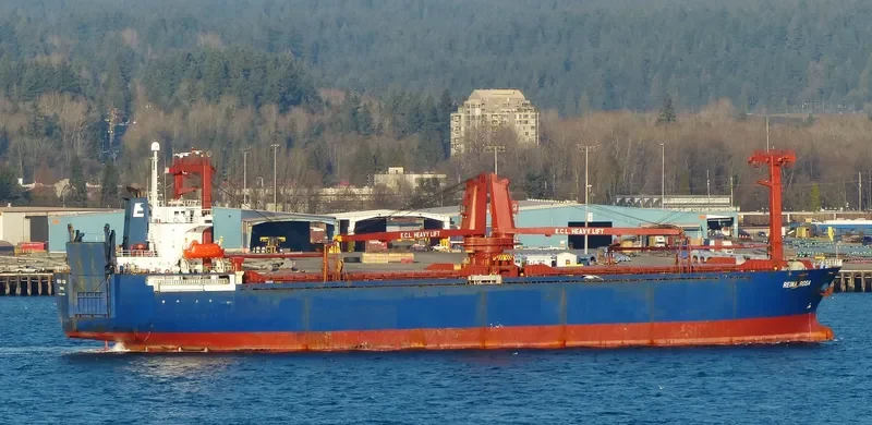 REINA ROSA General Cargo IMO 9112569 photo 5