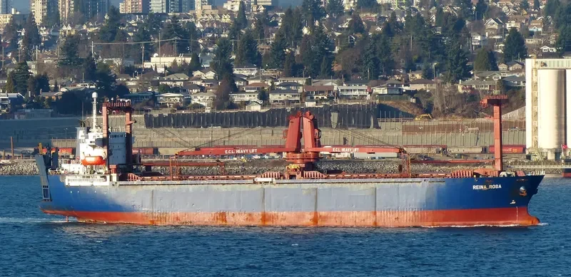 REINA ROSA General Cargo IMO 9112569 photo 6
