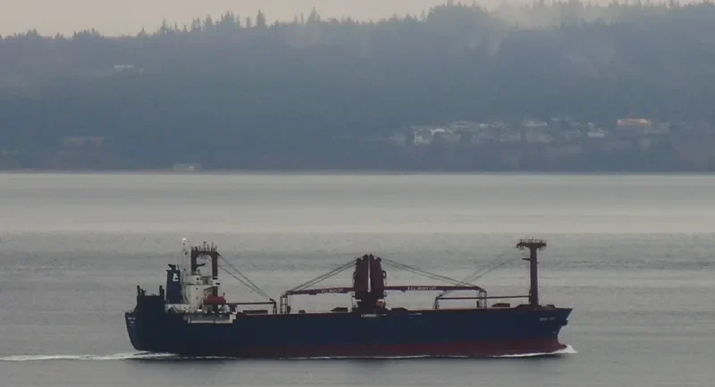 REINA ROSA General Cargo IMO 9112569 photo 8