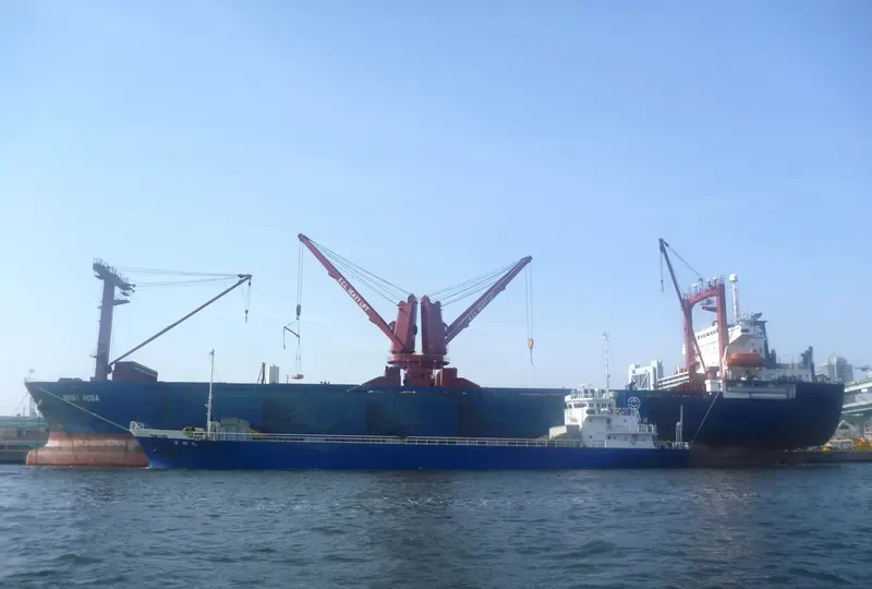 REINA ROSA General Cargo IMO 9112569 photo 10