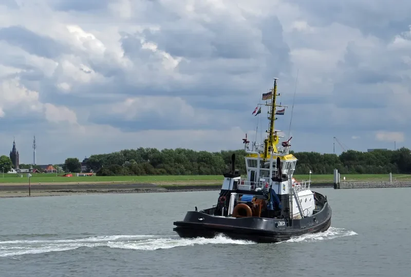 CARL General Cargo IMO 9112739 photo 10