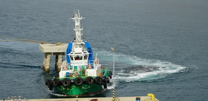 FORTIS I General Cargo IMO 9112818 photo 9