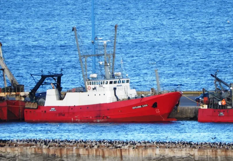 CENTAURO 2000 General Cargo IMO 9112961 photo 3