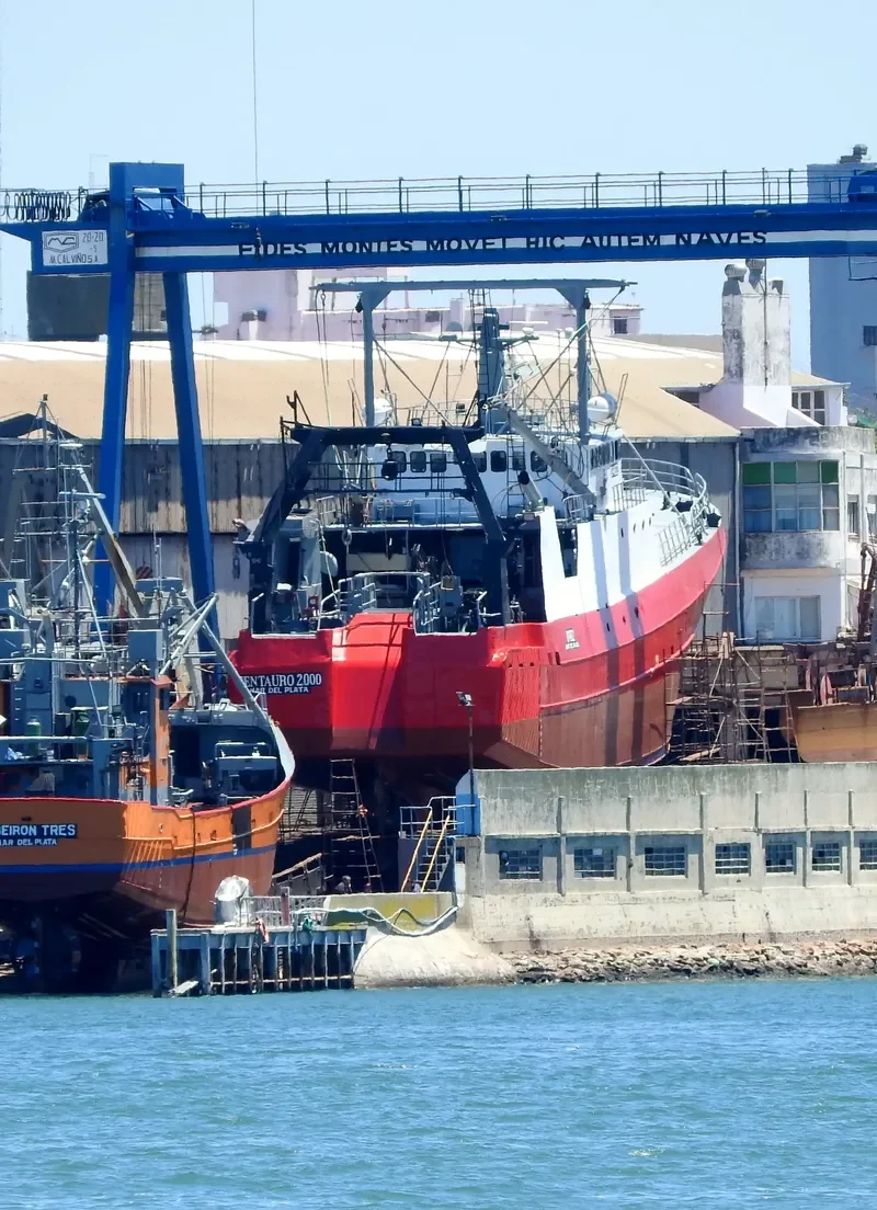 CENTAURO 2000 General Cargo IMO 9112961 photo 4
