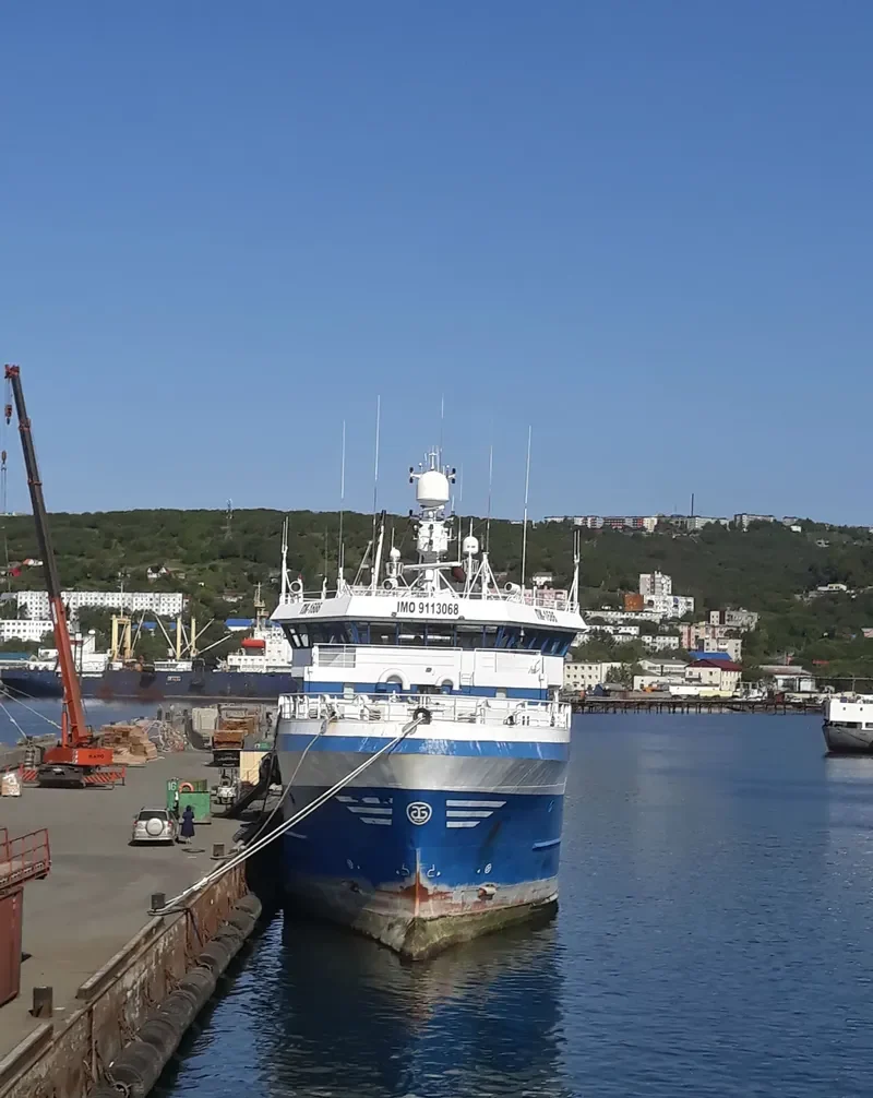 KAMCHATKA HARVEST General Cargo IMO 9113068 photo 6