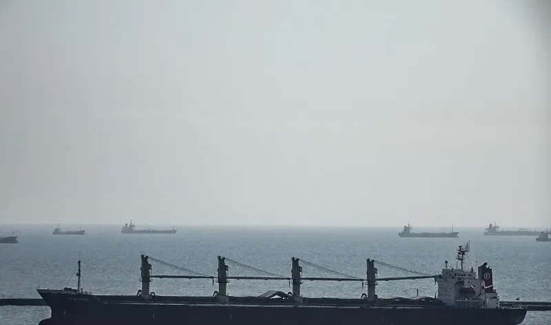 SHUN DA Bulk Carrier IMO 9113329 photo 2