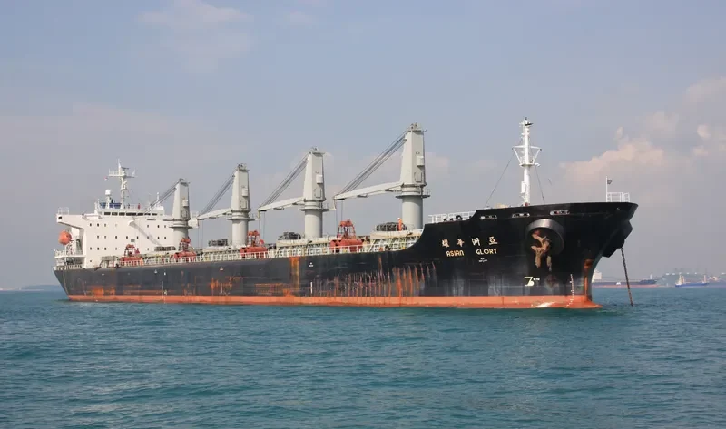 SHUN DA Bulk Carrier IMO 9113329 photo 3