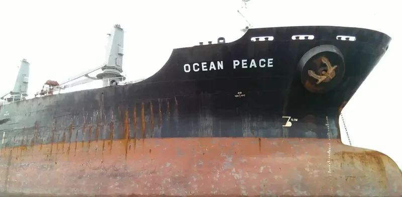 SHUN DA Bulk Carrier IMO 9113329 photo 5