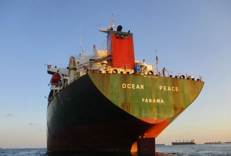 SHUN DA Bulk Carrier IMO 9113329 photo 7