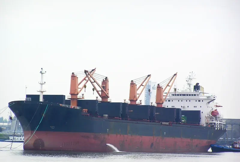 YIN BAO Bulk Carrier IMO 9113575