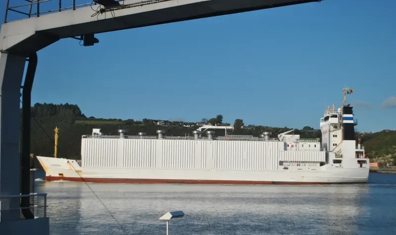 ALONDRA General Cargo IMO 9113719 photo 6