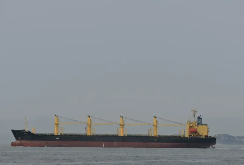 BEST ADVENTURE Bulk Carrier IMO 9113848 photo 5
