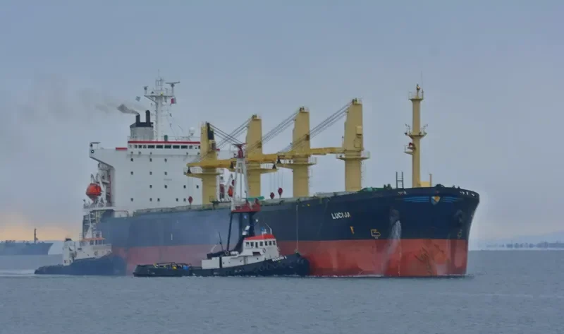 LUCIJA Bulk Carrier IMO 9114141 photo 7