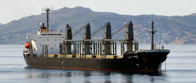 LADY HIND Bulk Carrier IMO 9114464 photo 3