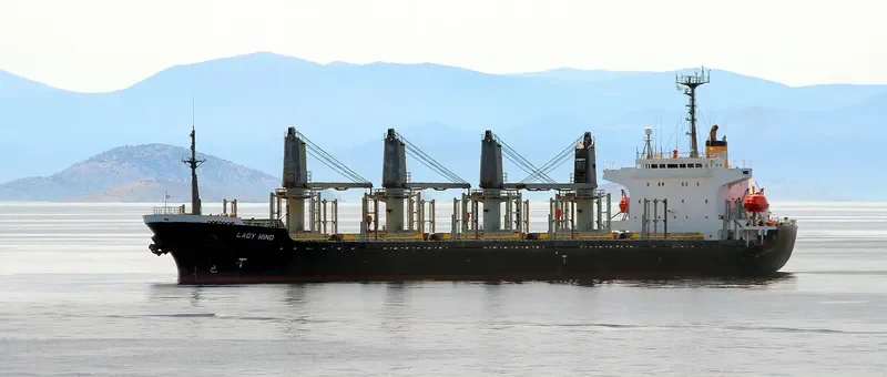 LADY HIND Bulk Carrier IMO 9114464 photo 6