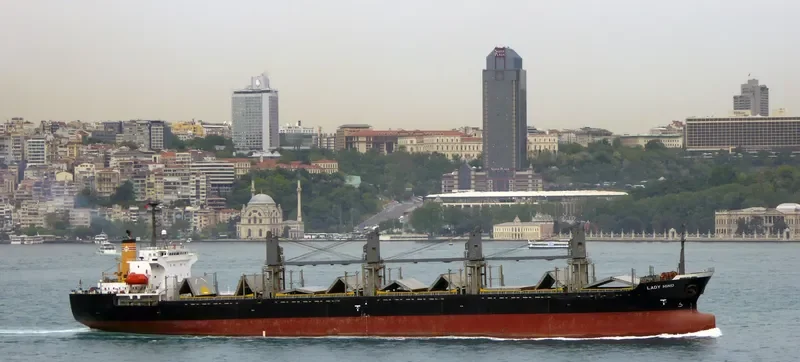 LADY HIND Bulk Carrier IMO 9114464 photo 7