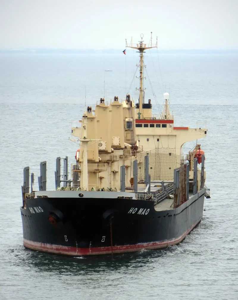 MORNING SWAN NO.1 Bulk Carrier IMO 9114490 photo 2