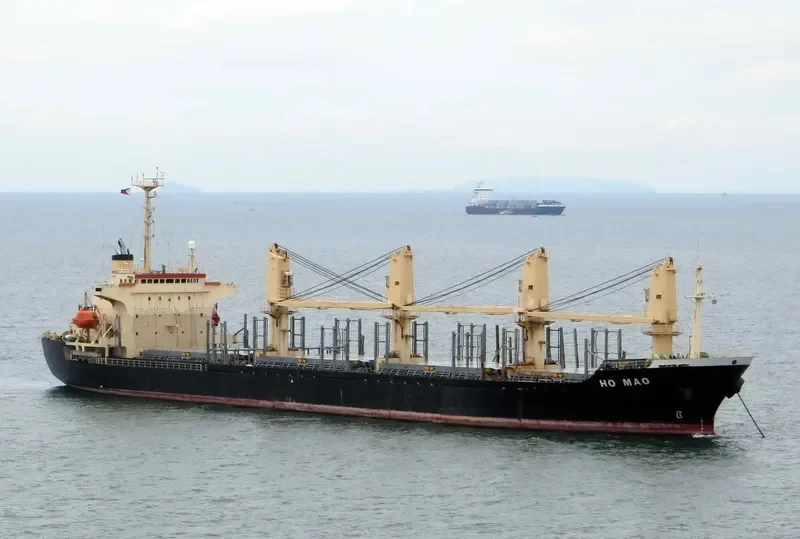 MORNING SWAN NO.1 Bulk Carrier IMO 9114490 photo 3
