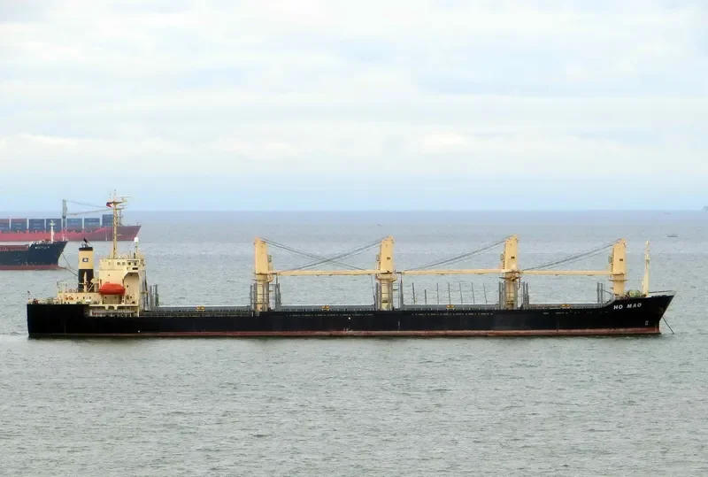 MORNING SWAN NO.1 Bulk Carrier IMO 9114490 photo 4