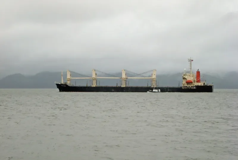 MORNING SWAN NO.1 Bulk Carrier IMO 9114490 photo 9