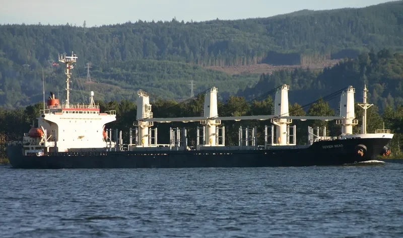 MORNING SWAN NO.1 Bulk Carrier IMO 9114490 photo 10
