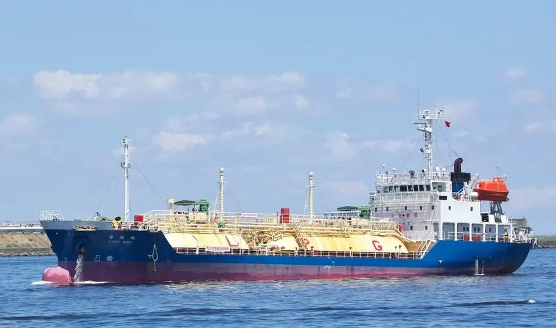 PILATUS 55 General Cargo IMO 9114646 photo 2