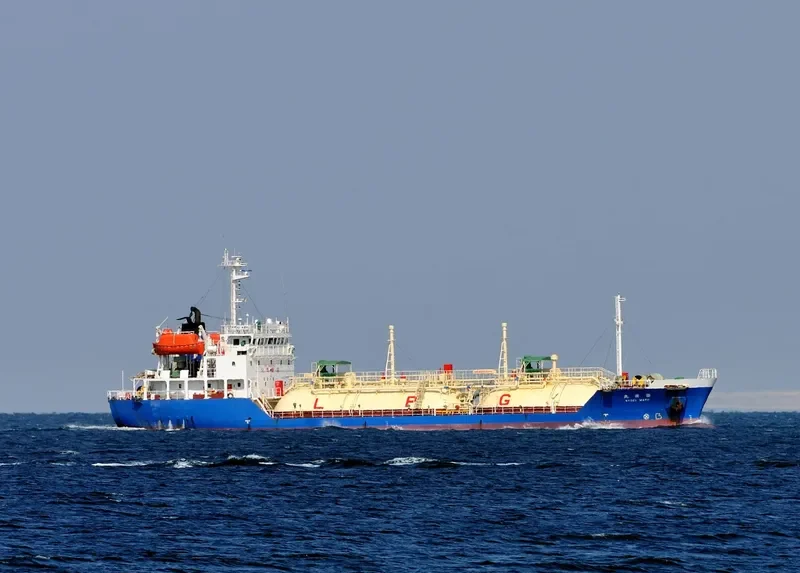 PILATUS 55 General Cargo IMO 9114646 photo 3