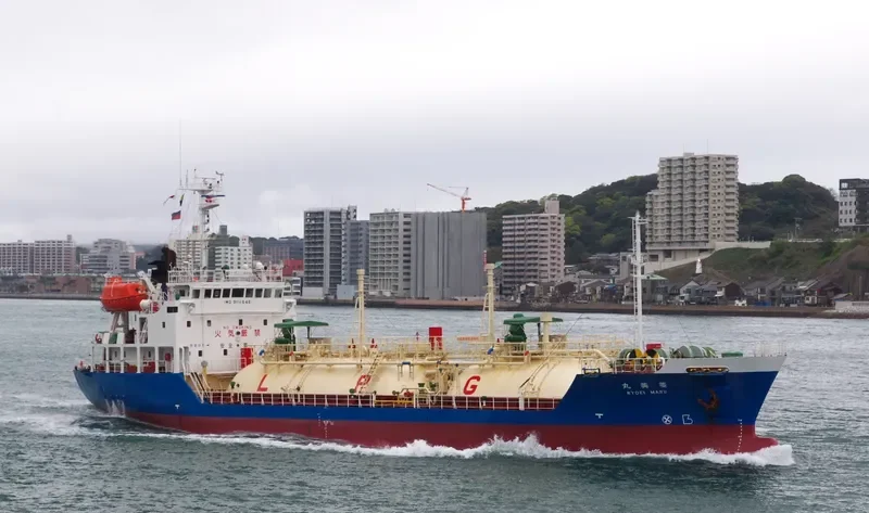 PILATUS 55 General Cargo IMO 9114646 photo 4