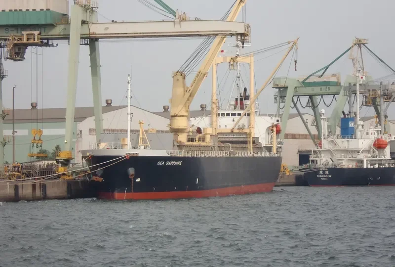 VAST OCEAN 1 General Cargo IMO 9115030 photo 7