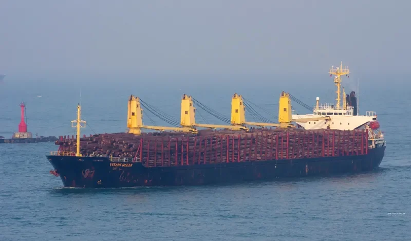 BAO SHENG Bulk Carrier IMO 9115092 photo 2