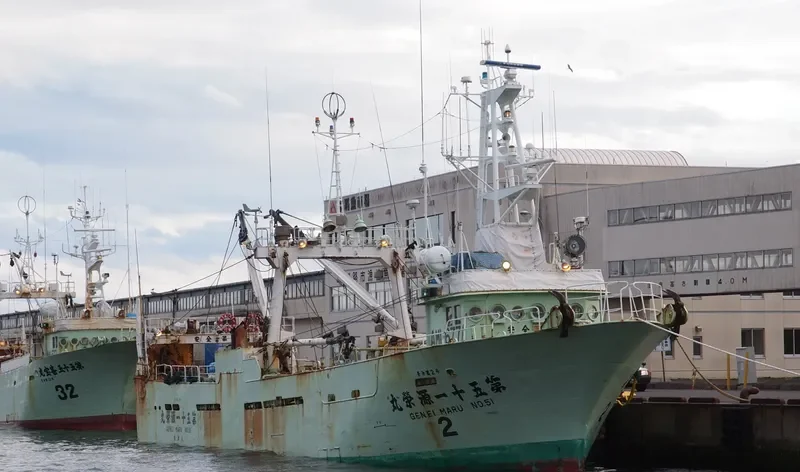 GENEI MARU NO.51 General Cargo IMO 9115200 photo 2