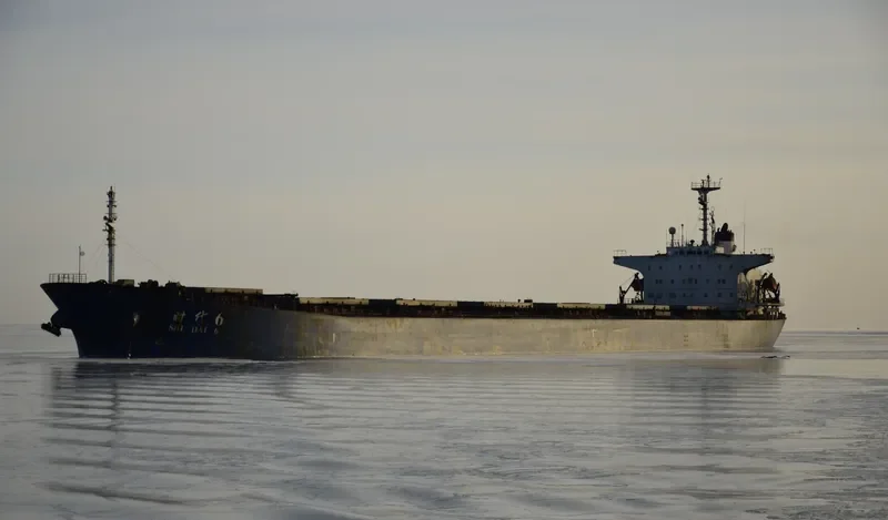 SHI DAI 6 Bulk Carrier IMO 9115224 photo 5