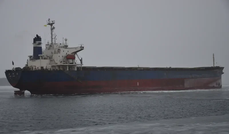 SHI DAI 6 Bulk Carrier IMO 9115224 photo 7