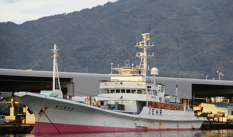 TOYOKUNIMAR NO.8 General Cargo IMO 9115250