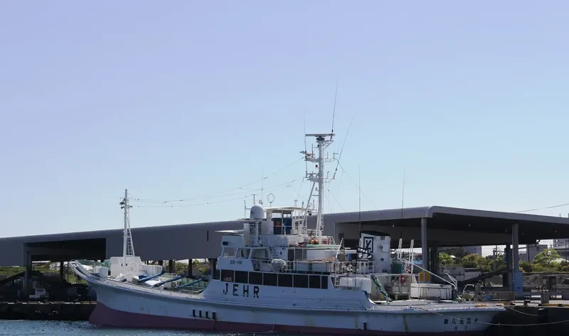 TOYOKUNIMAR NO.8 General Cargo IMO 9115250 photo 2