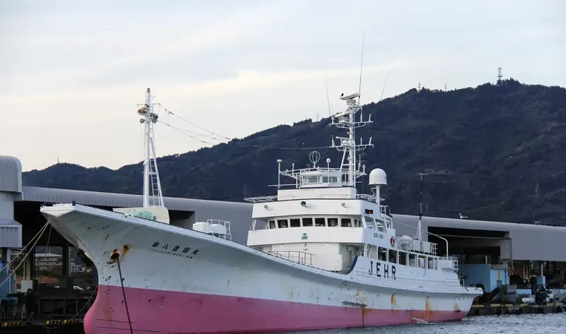 TOYOKUNIMAR NO.8 General Cargo IMO 9115250 photo 3