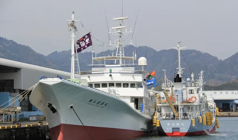 TOYOKUNIMAR NO.8 General Cargo IMO 9115250 photo 4