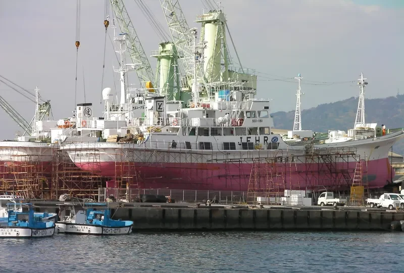 TOYOKUNIMAR NO.8 General Cargo IMO 9115250 photo 5