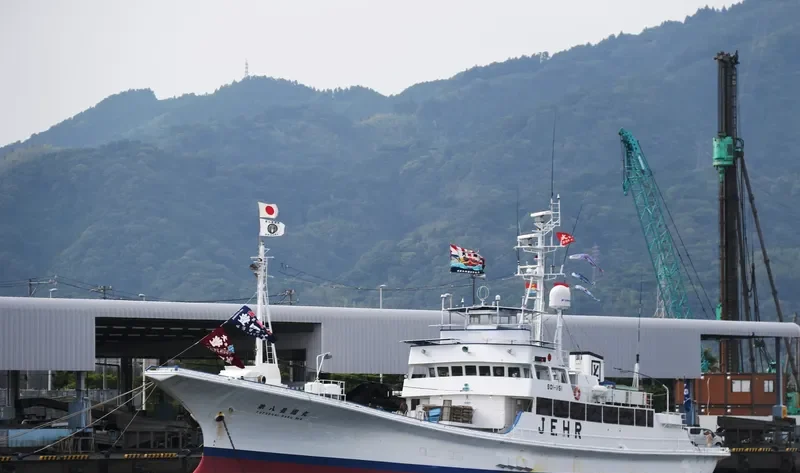 TOYOKUNIMAR NO.8 General Cargo IMO 9115250 photo 7