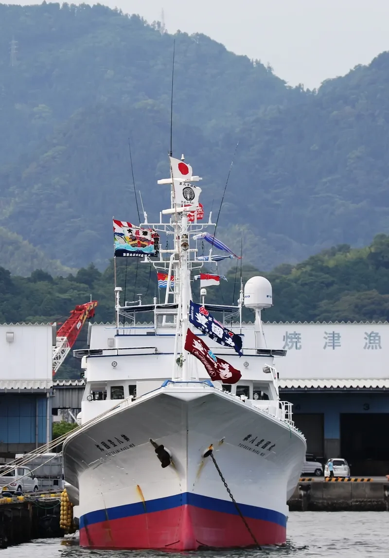 TOYOKUNIMAR NO.8 General Cargo IMO 9115250 photo 8