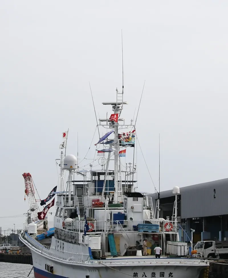 TOYOKUNIMAR NO.8 General Cargo IMO 9115250 photo 9