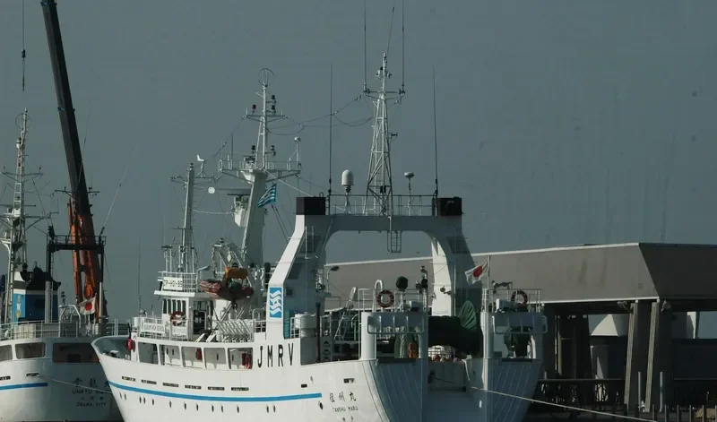 SHAMS 112 General Cargo IMO 9115262 photo 4