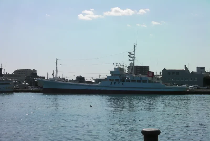SHOEI MARU NO.8 General Cargo IMO 9115274 photo 3