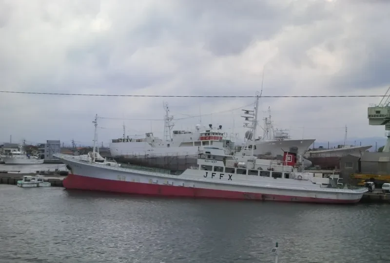 SHOEI MARU NO.8 General Cargo IMO 9115274 photo 4