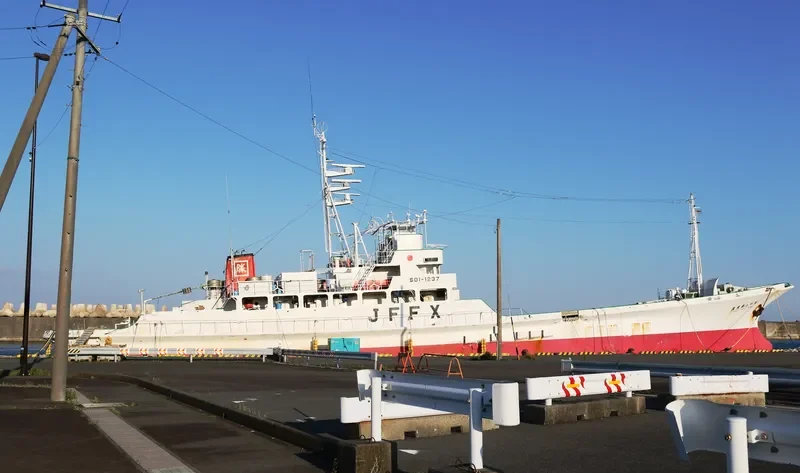 SHOEI MARU NO.8 General Cargo IMO 9115274 photo 9