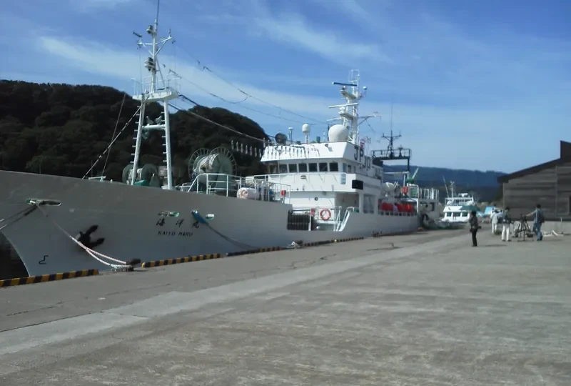 KAIYO MARU General Cargo IMO 9115391