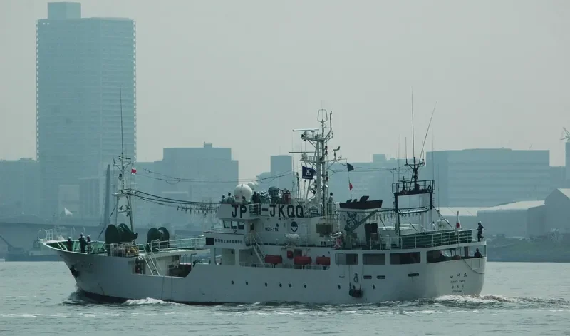 KAIYO MARU General Cargo IMO 9115391 photo 4