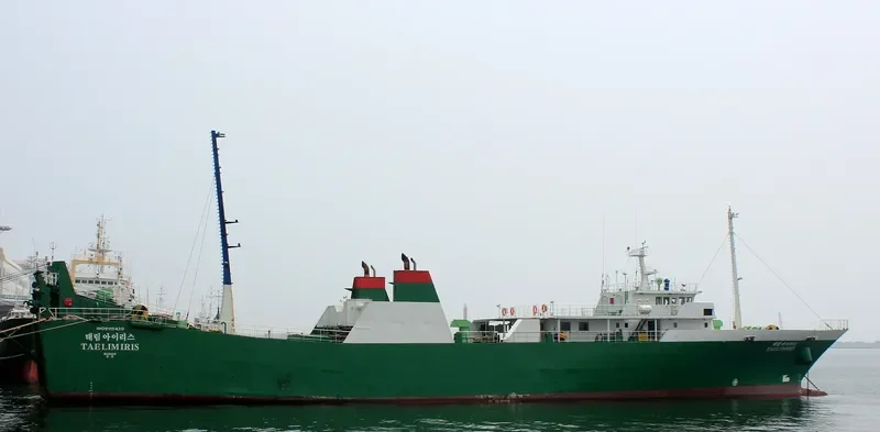 OROQUIETA STARS Ro-Ro IMO 9115420 photo 9