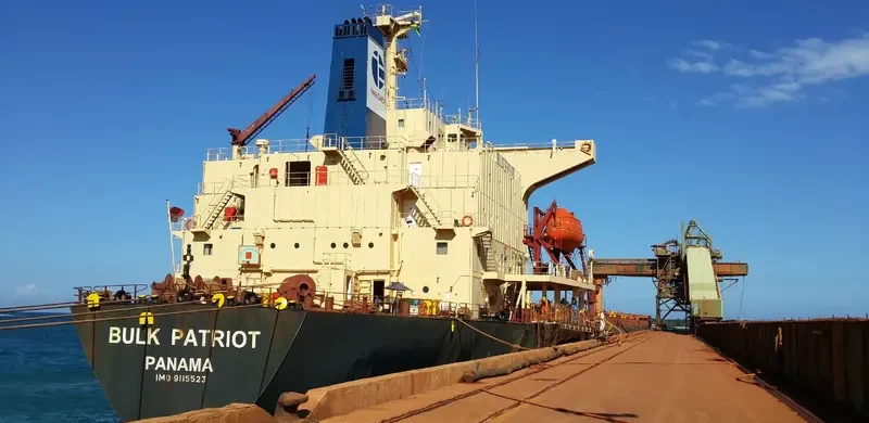 ASIAN BULK Bulk Carrier IMO 9115523