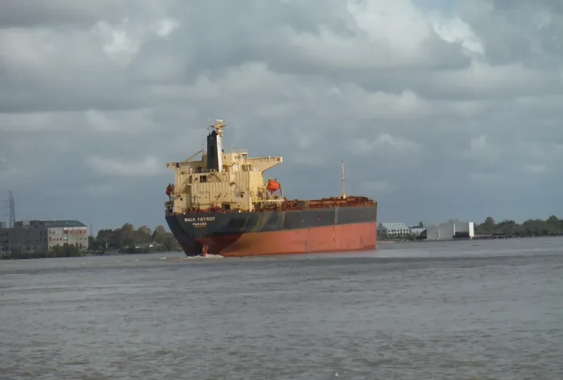 ASIAN BULK Bulk Carrier IMO 9115523 photo 4